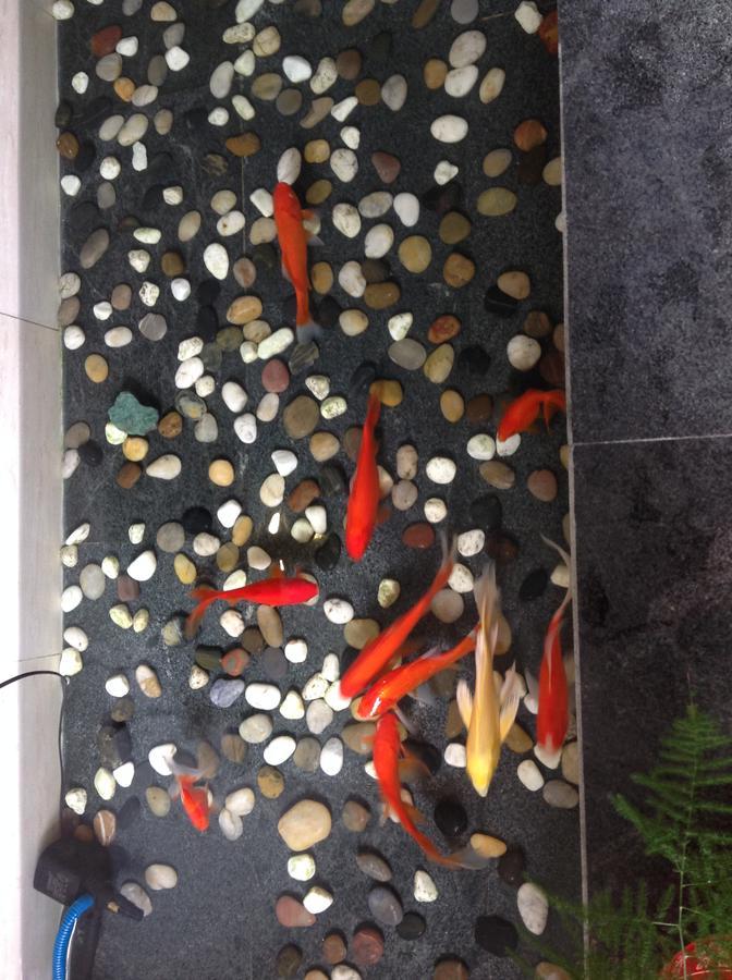北京旜檀四合院酒店 外观 照片